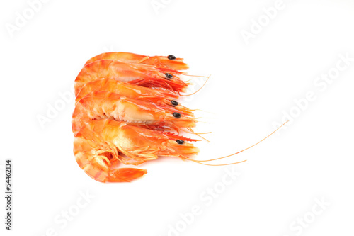 Shrimp isolated in white background