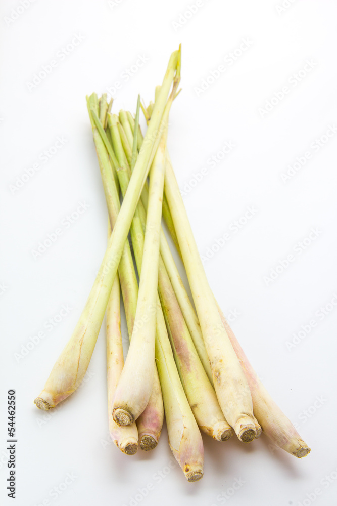 Lemon Grass Lemon Grass