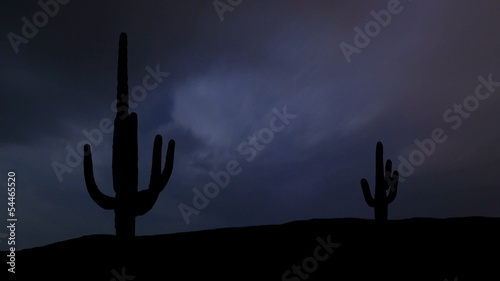 Arizona Saguaro night storm