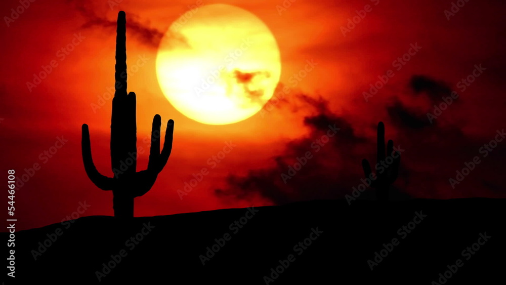 Arizona Saguaro sunset