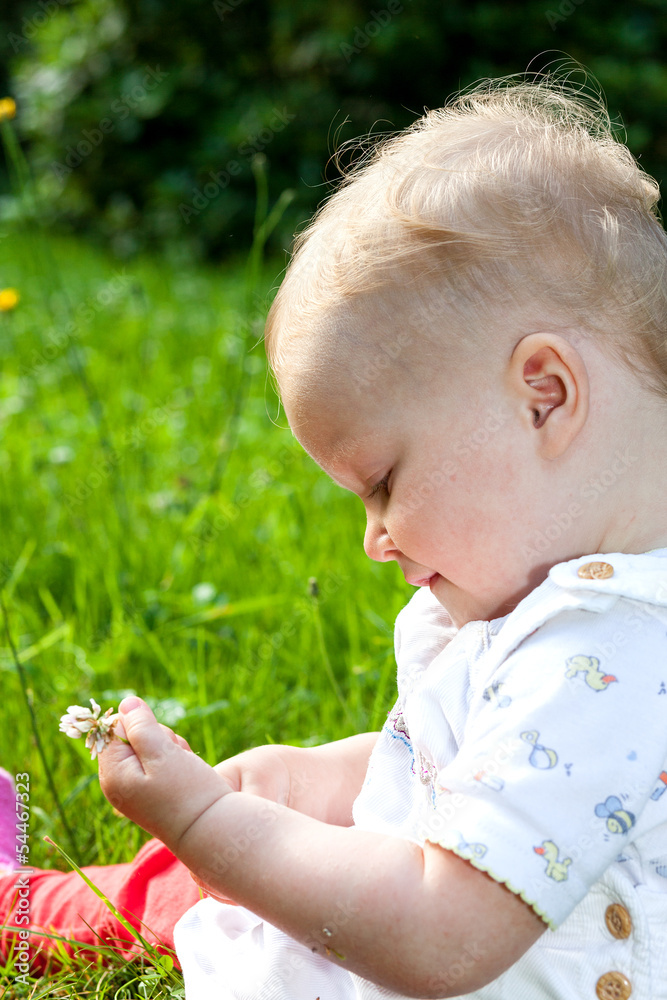 Baby girl portrait on the summer meadow Baby girl portrait on the summer meadow