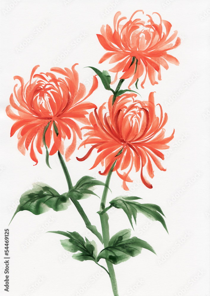 Naklejka premium Orange chrysanthemum