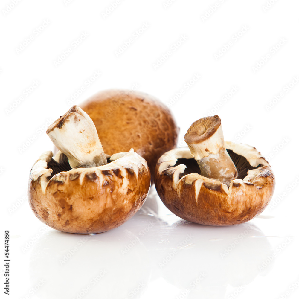 Fresh mushroom champignon isolated on white background .  fresh