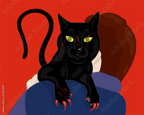 Mysterious black cat.
