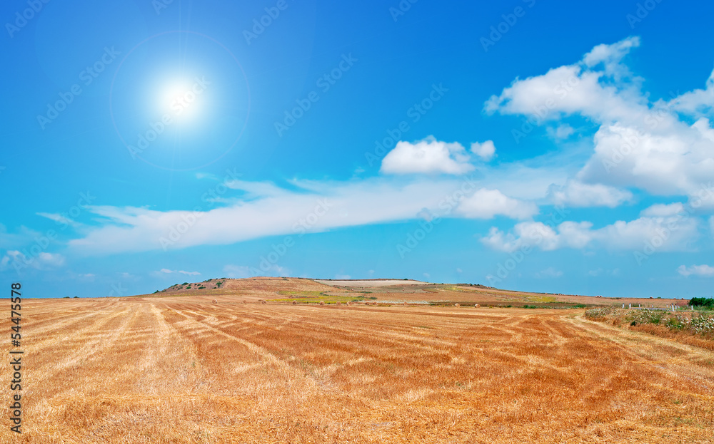 Fototapeta premium sun and hay