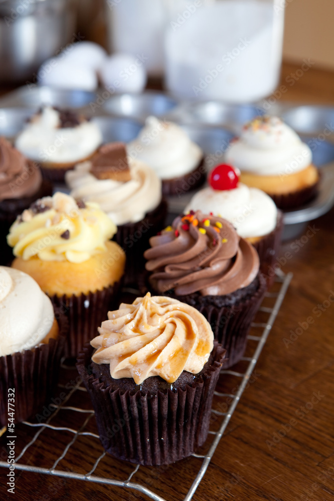 Delicious Gourmet Cupcakes