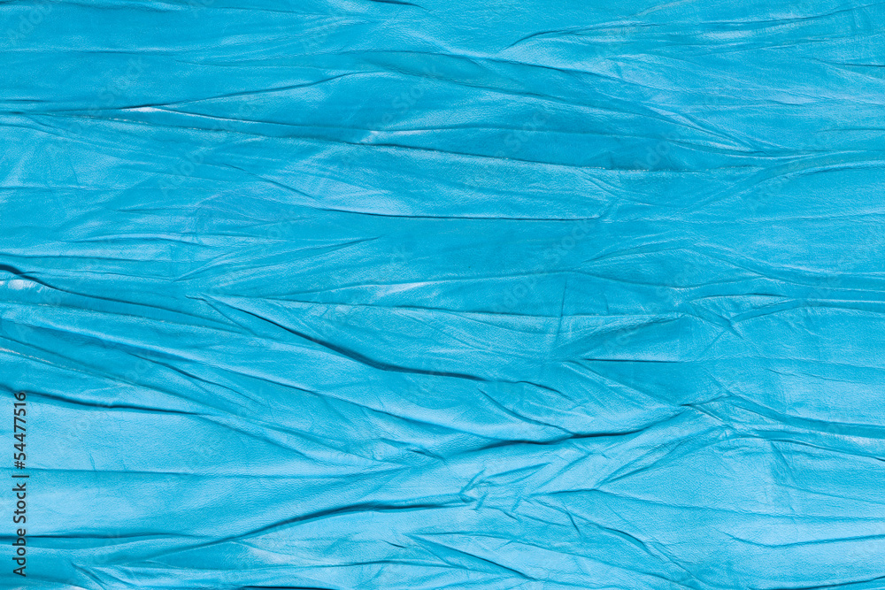 Obraz premium 馬革