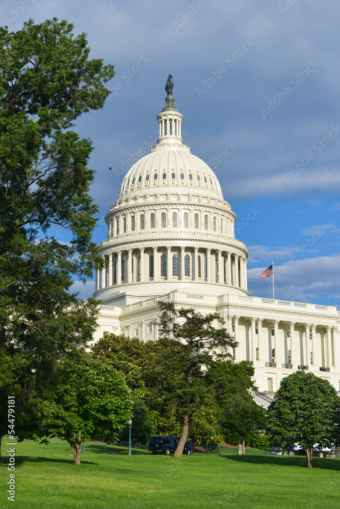 Obraz premium United States Capitol Building in Washington DC USA