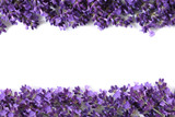 Frame with lavender