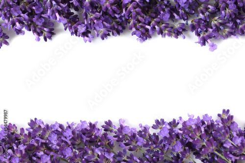 Fototapeta Naklejka Na Ścianę i Meble -  Frame with lavender