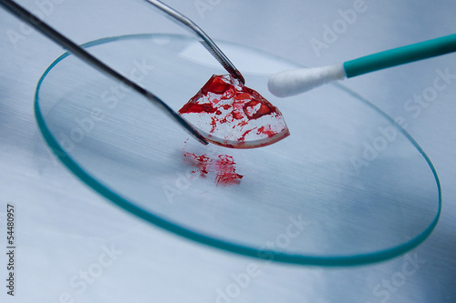 Forensic science photo