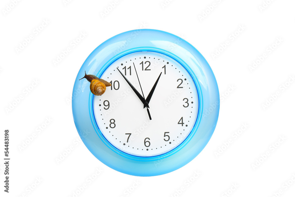 Grape snail climbing on a clock Grape snail climbing on a clock