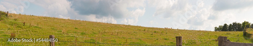 Hill landscape with meadow and trees and blue cloudy sky. Panora