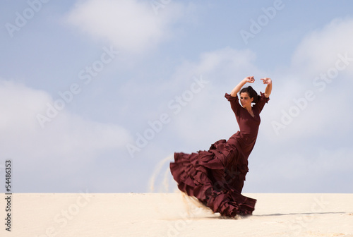 flamenco in the dunes