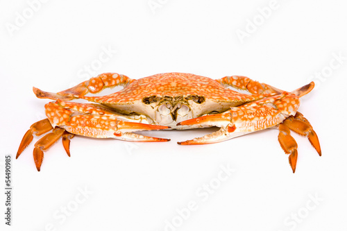 Crab