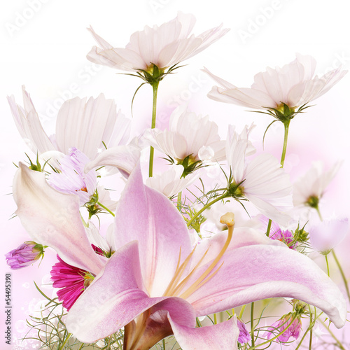 Beautiful flower background