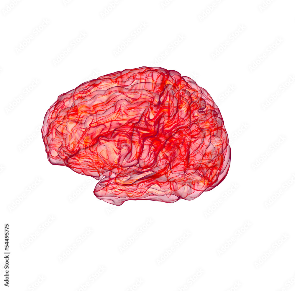 Fototapeta premium red x-ray of human brain