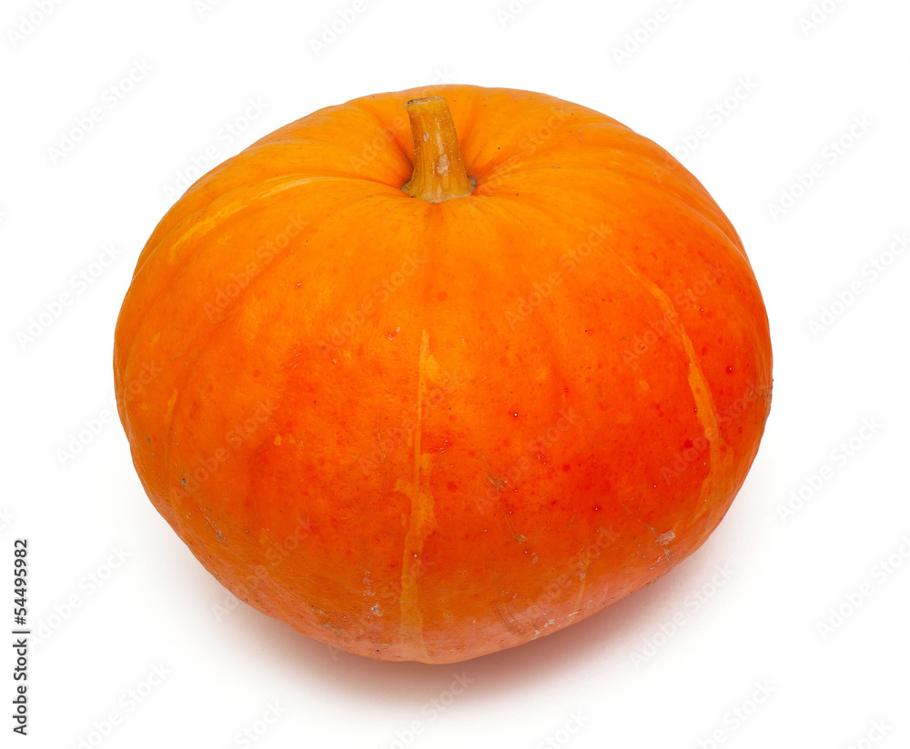 pumpkins isolated on white background pumpkins isolated on white background