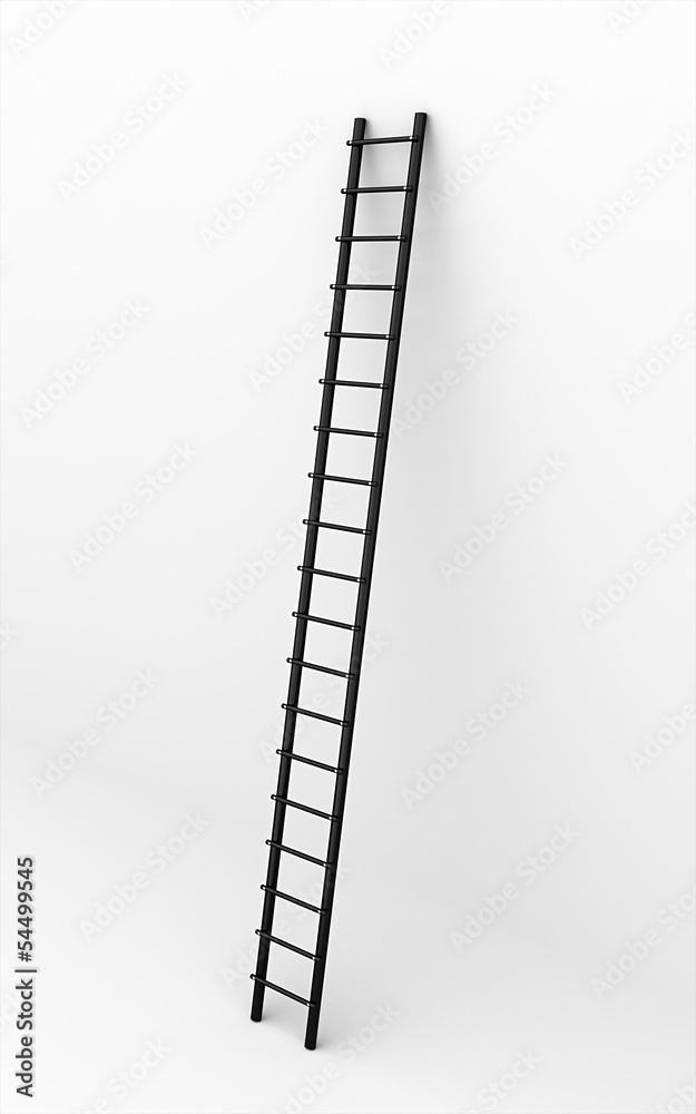 Black ladder