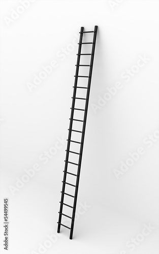 Black ladder