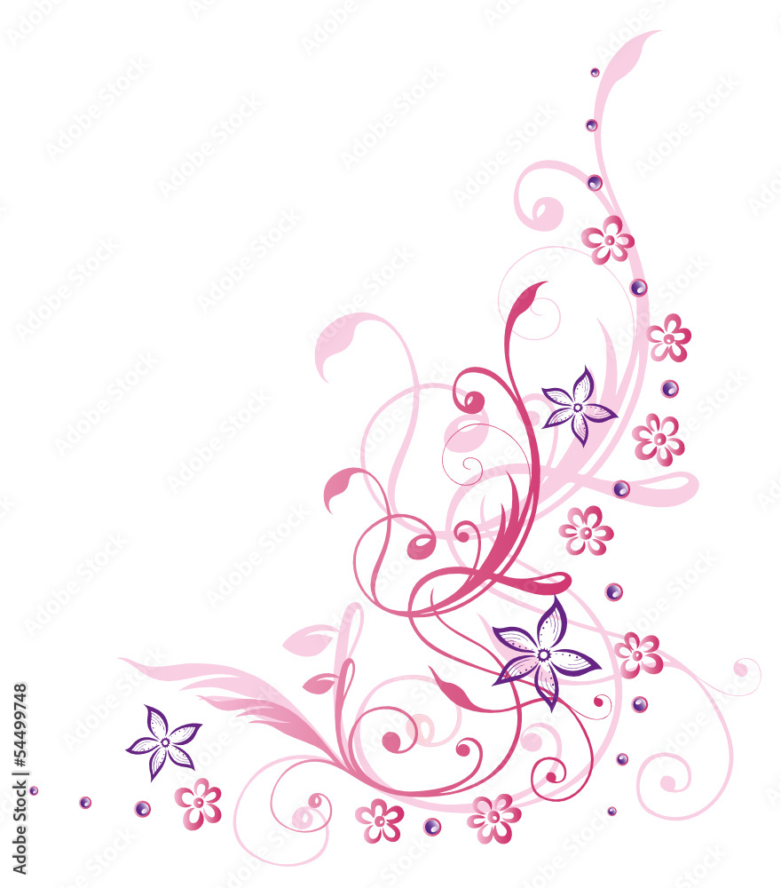Blume, Blüte, Ranke, Sommer, lila, pink, violett Blume, Blüte, Ranke, Sommer, lila, pink, violett