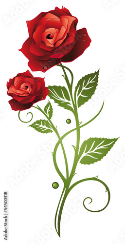 Rote Rosen mit Blättern. Symbol der Liebe.  In love.