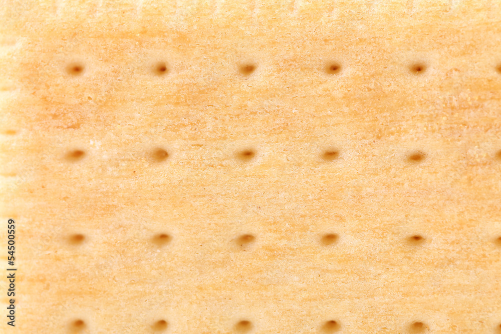 Isolated biscuit. Pin hole. Macro.