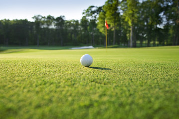 Acrylglasbilder Golf Golfball Nahaufnahme auf grünem Rasen  © Daniel Thornberg