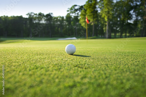 Obraz na plátne Close up of golf ball on green