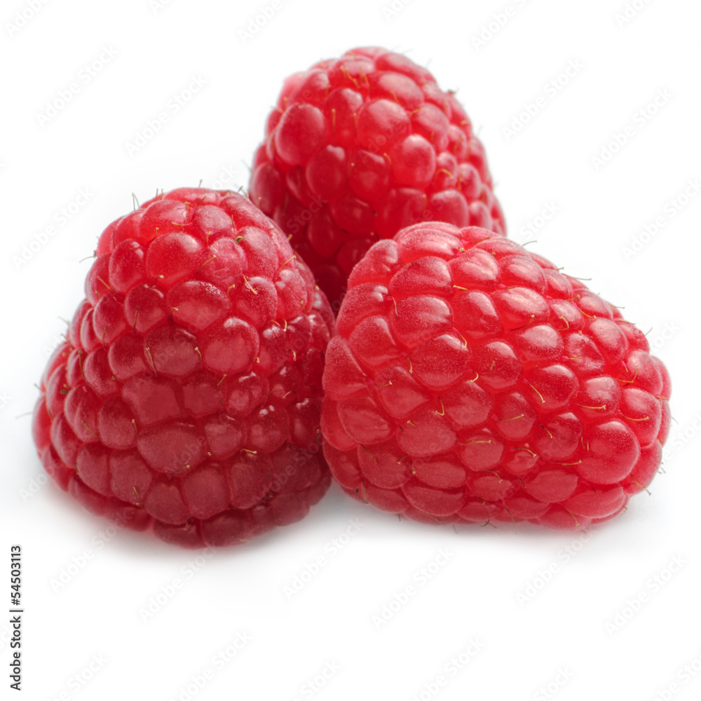 Three Raspberries in a group against white background - Square