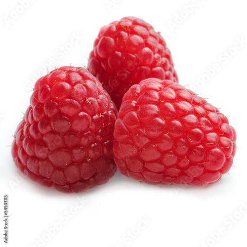 Three Raspberries in a group against white background - Square