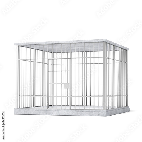 Valokuvatapetti steel cage