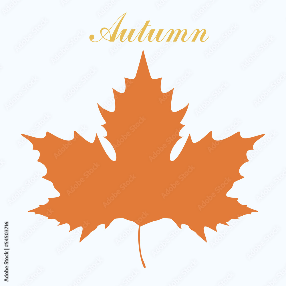 maple leaf design maple leaf design