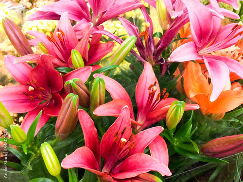 Canvastavla Bouquet of lilies