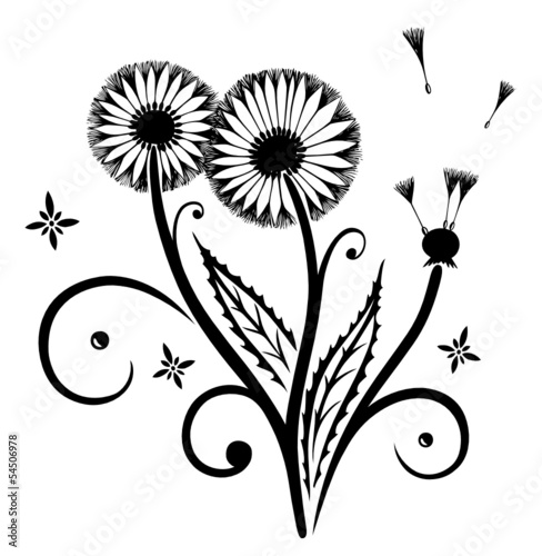 Abstrakter, filigraner Löwenzahn, Pusteblume. Tuschezeichnung.