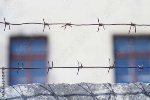 barbed wire photo