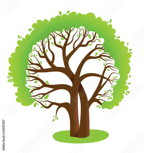 spreading green tree oak