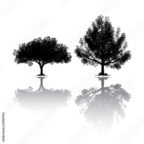 Trees siluete