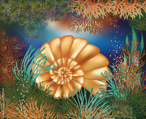 Underwater world wallpaper with golden seashell, vector