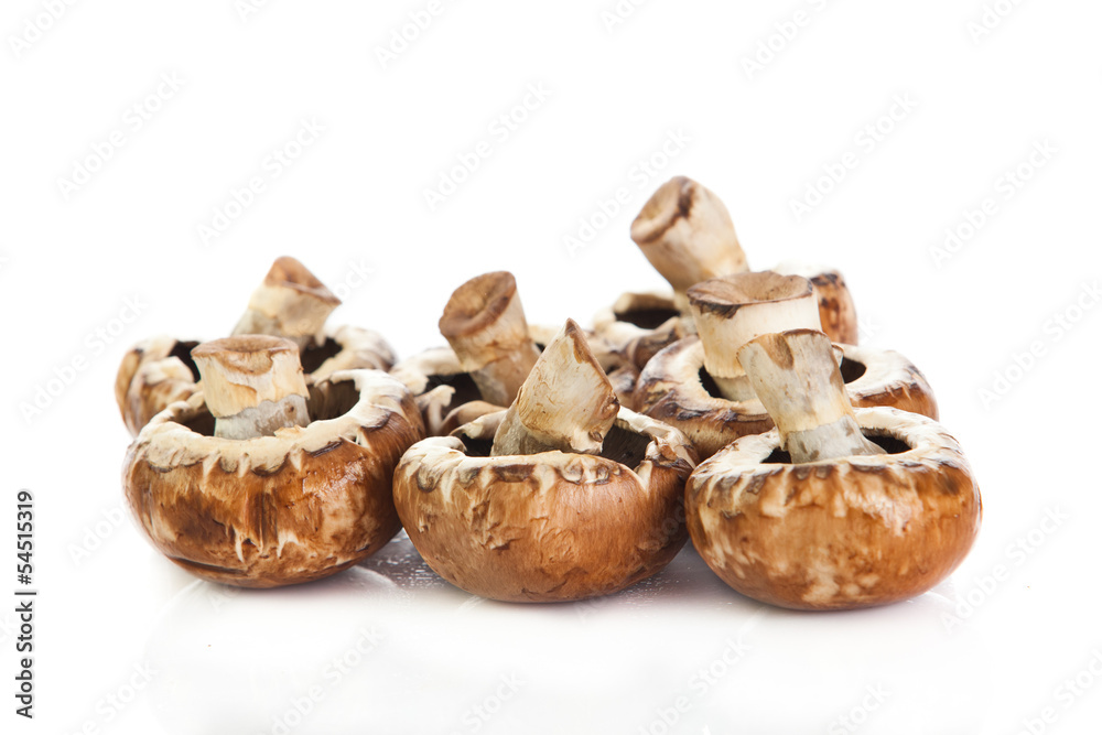 Fototapeta premium mushroom isolated on white background.