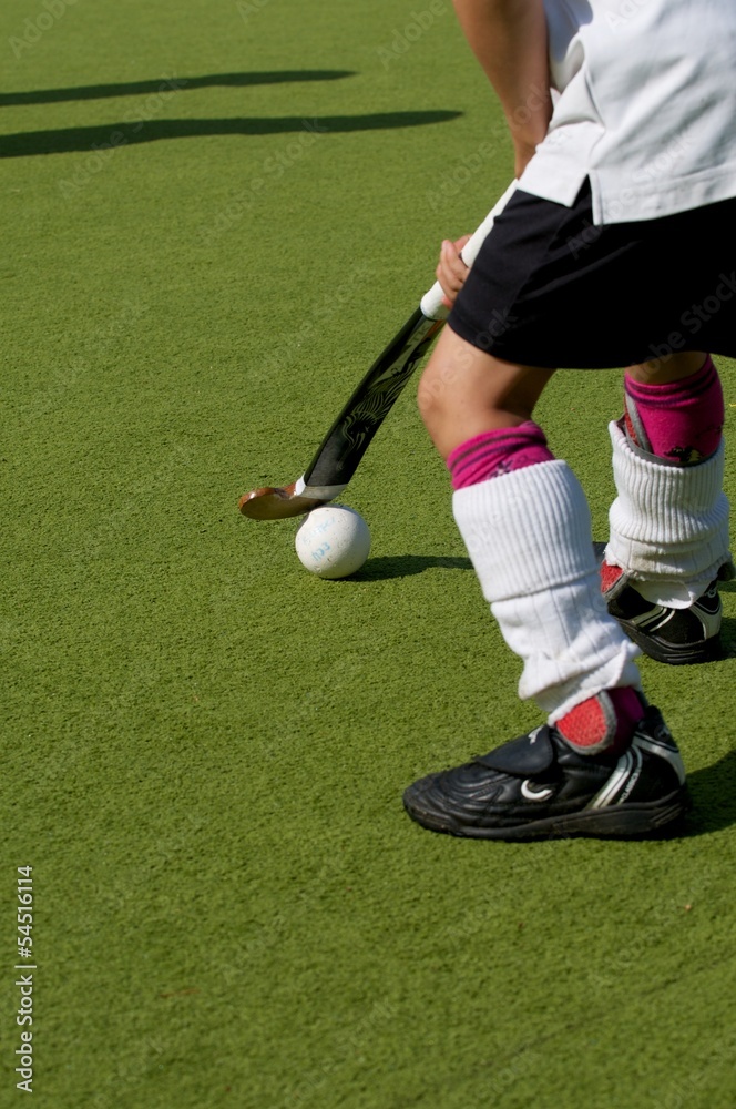 Naklejka premium Hockey2