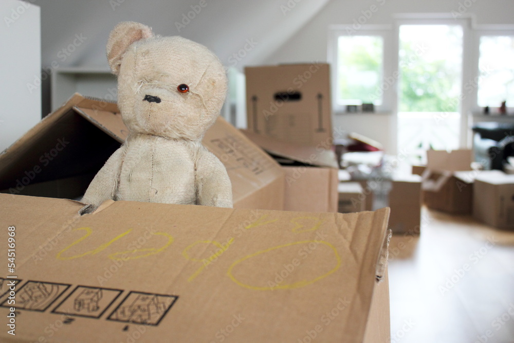 Geliebter Teddy