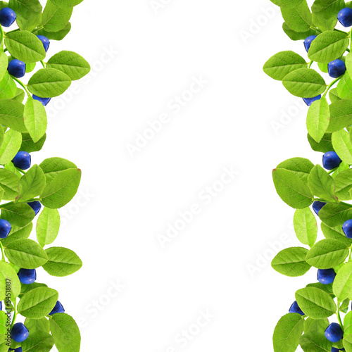 Blueberry and green leaves frame