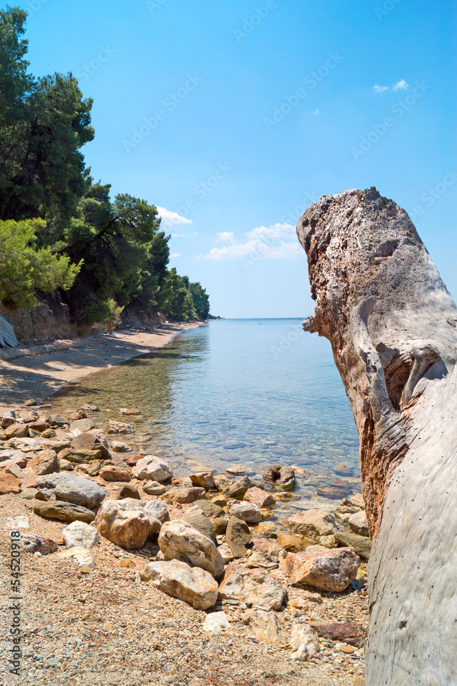 Summer resort of Halkidiki peninsula in Greece