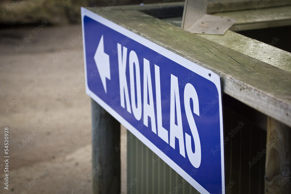 Koalas sign