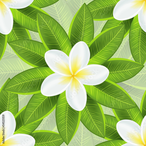 Spring ecological background with beautiful white flower and