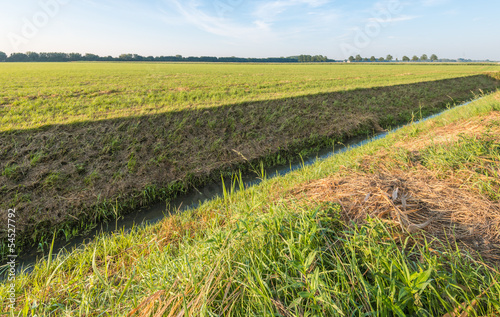 Ditch bisects the Dutch polder landscape