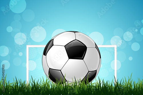 Soccer Ball in Green Grass