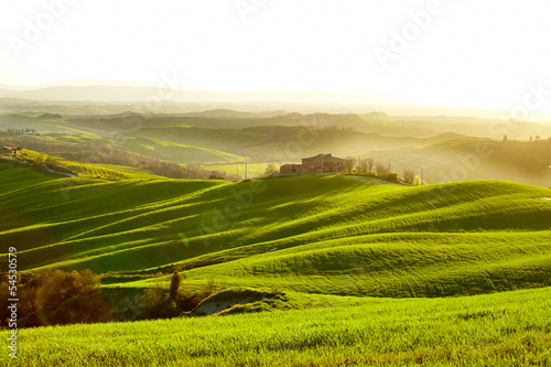 Countryside  San Quirico  Orcia   Tuscany  Italy