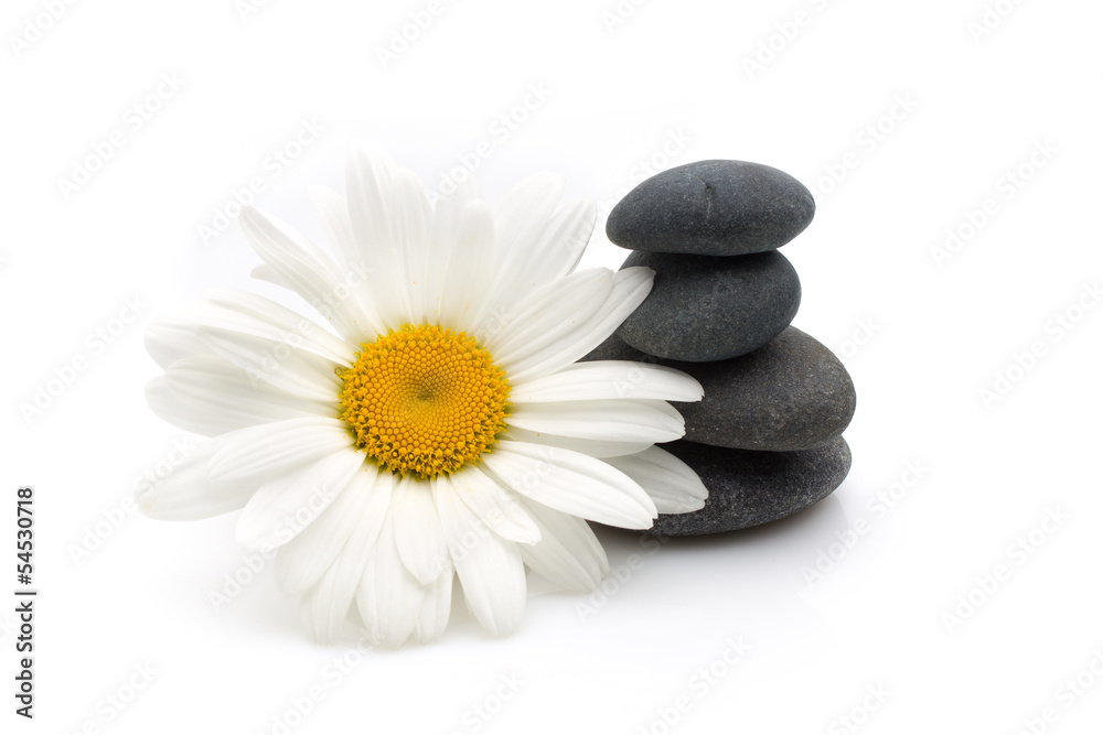 Spa stones. Spa stones.